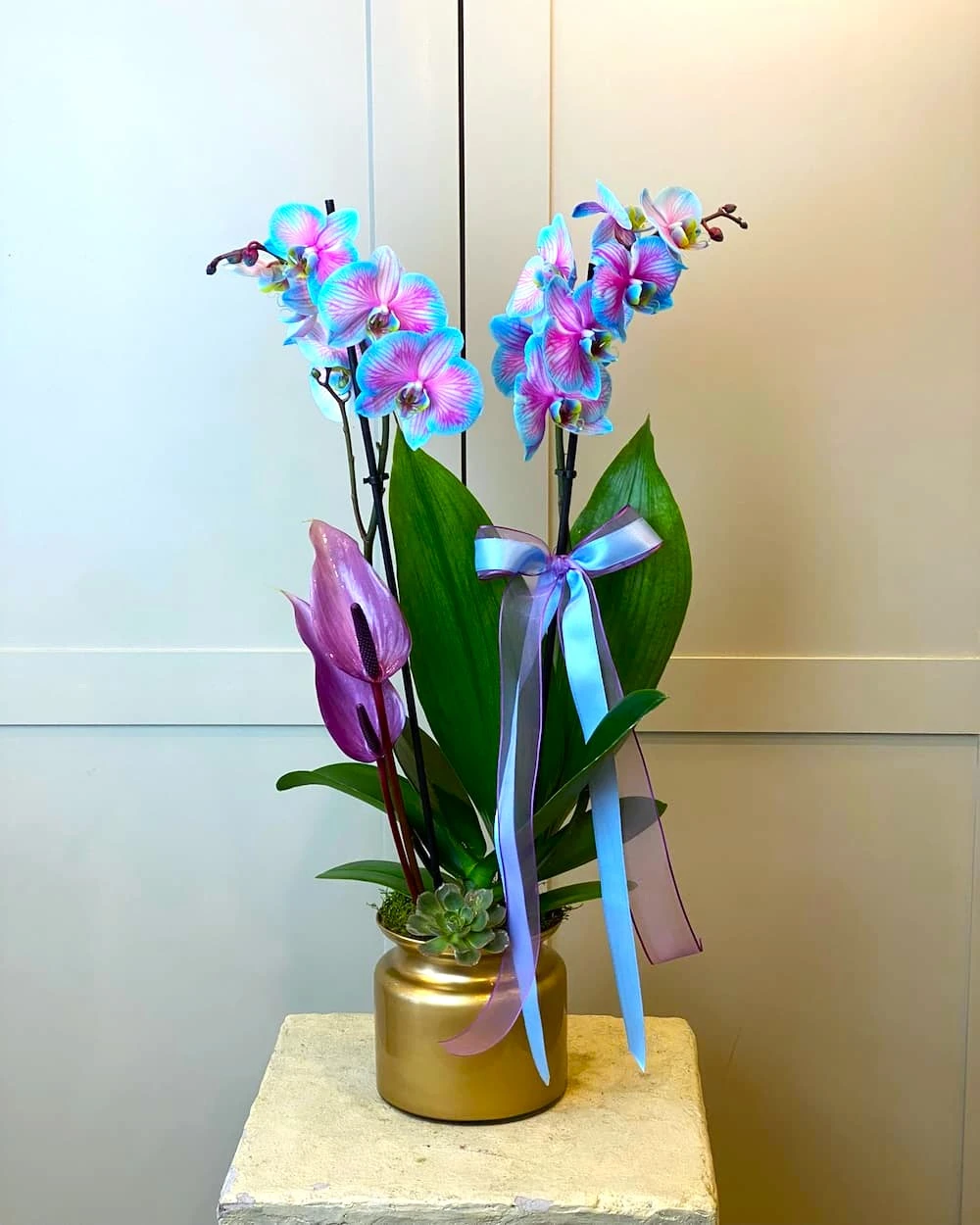 Geçmiş Olsun Çiçeği Notu