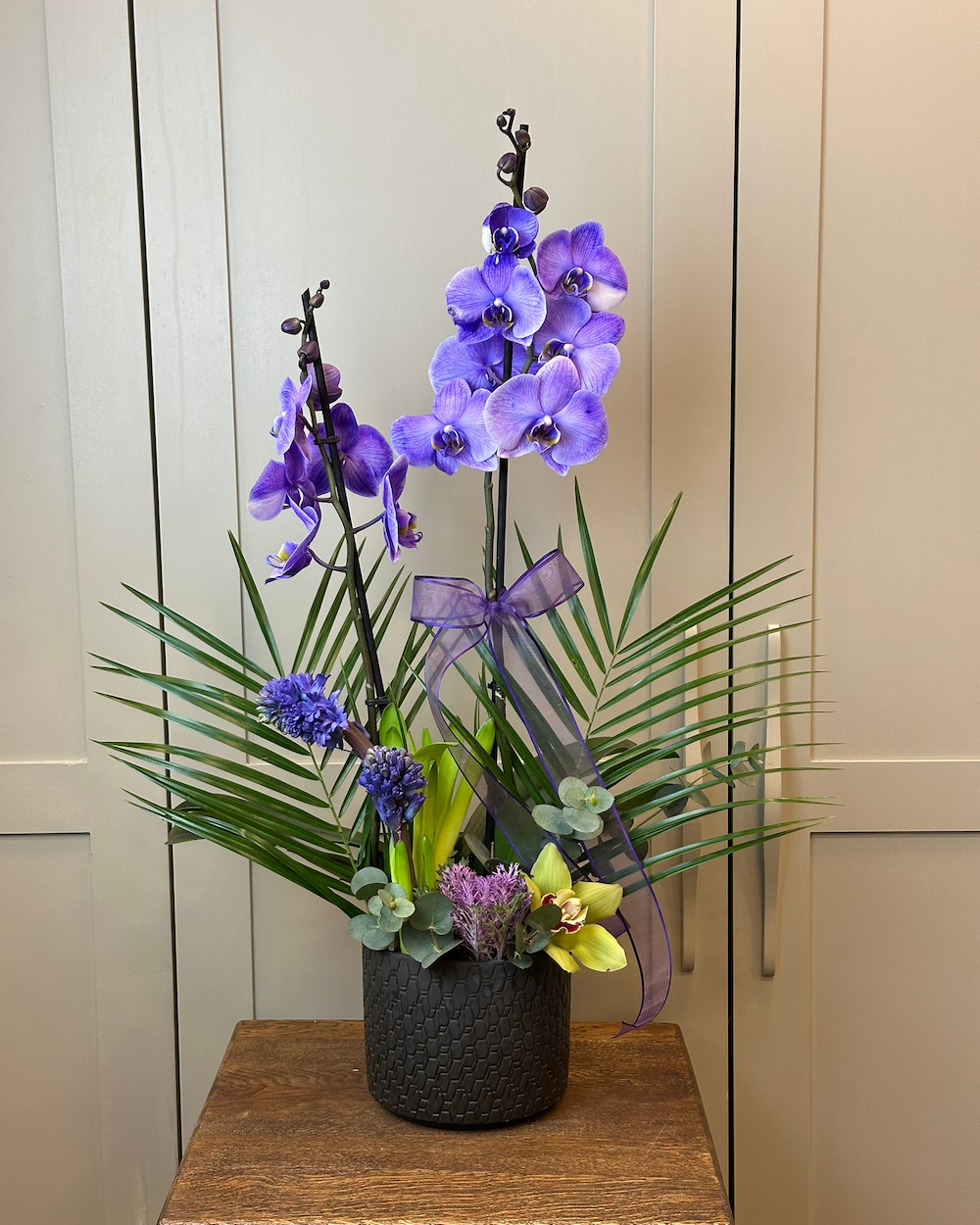 Balk 2 Dallı Lila Orkide