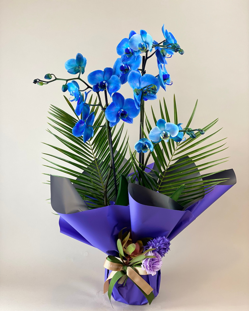 Biassa Deluxe Mavi Orkide