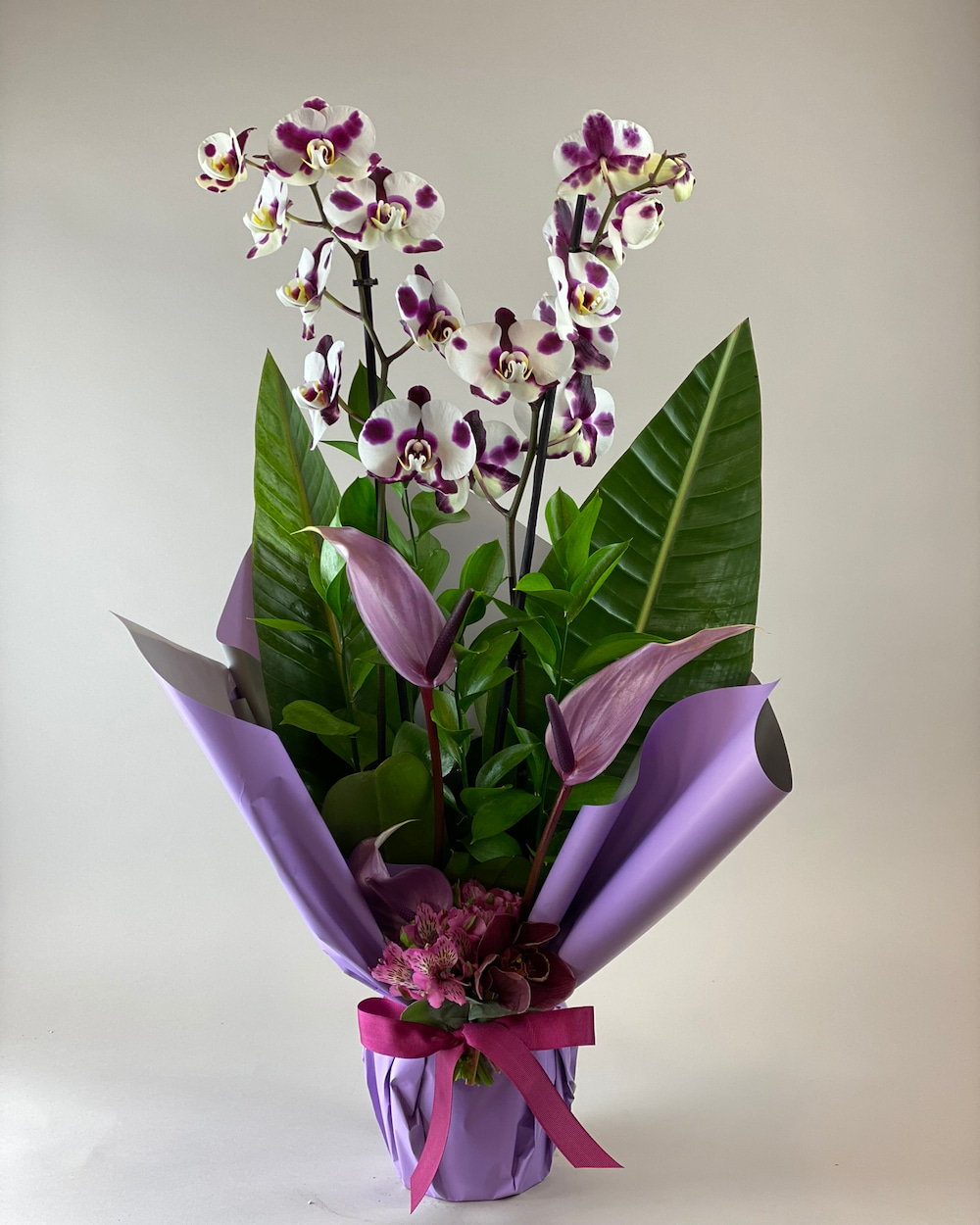 Custom Elegance Benekli Orkide