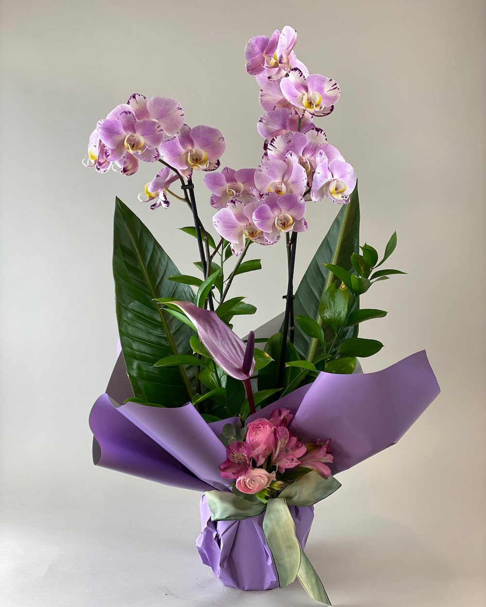 Custom Elegance Lila Orkide