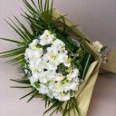 Beyaz Frezya Buketi