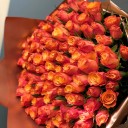 Carmen 101 Turuncu Gül