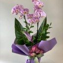 Custom Elegance Lila Orkide