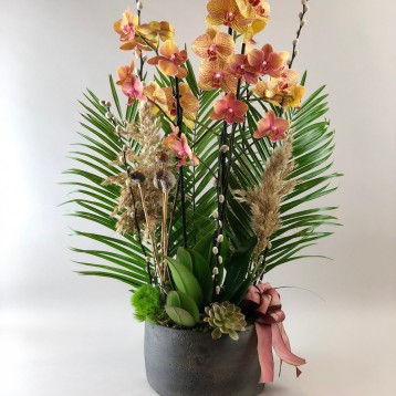 Deluxe Turuncu Orkide