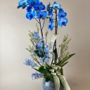 Pitelli Deluxe Mavi Orkide