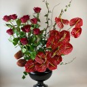 Vazoda Kırmızı Güller ve Antoryum