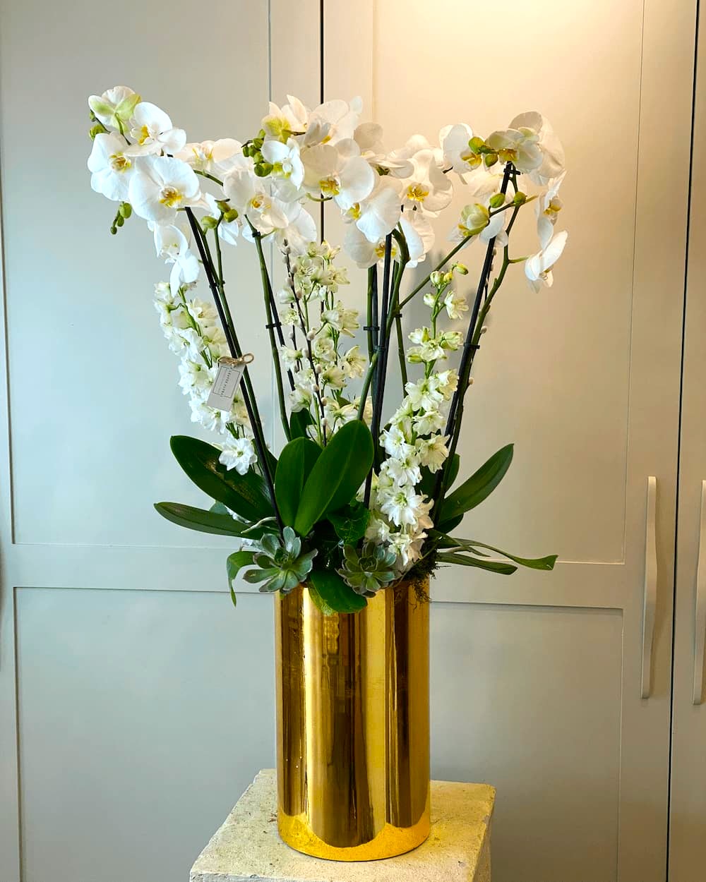 Gold Vazo İçinde 6 Dallı orkide