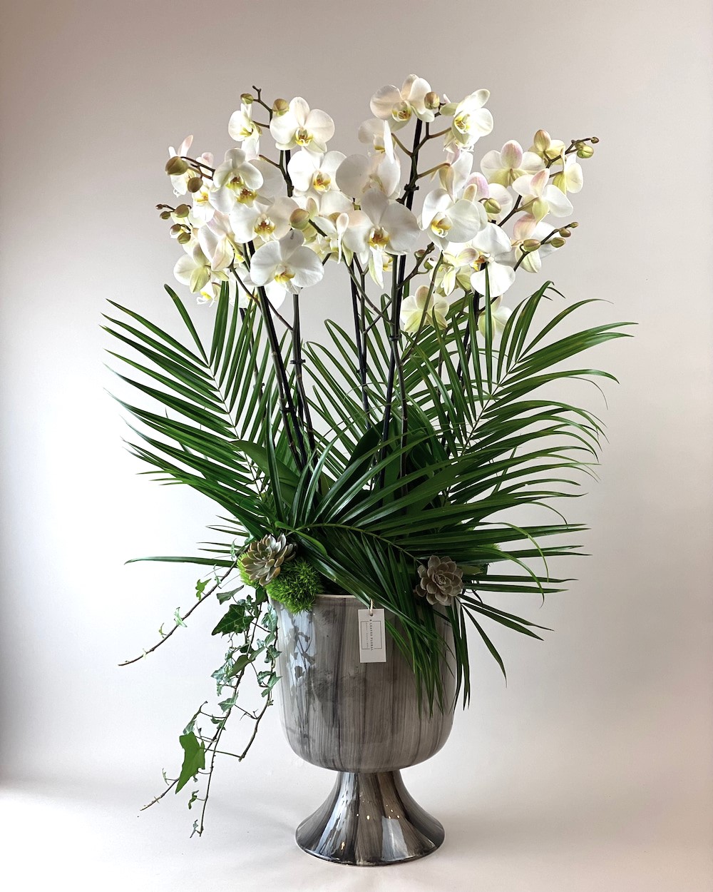 Marotta Deluxe Orkide