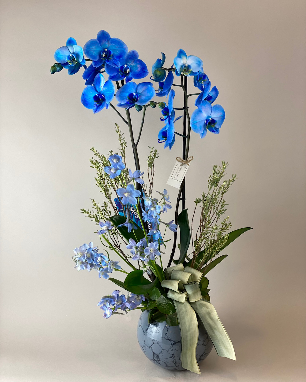 Orkide e itleri Ve Fiyatlar Bleaves Floral Orkide e itleri Ve Fiyatlar Bleaves Floral