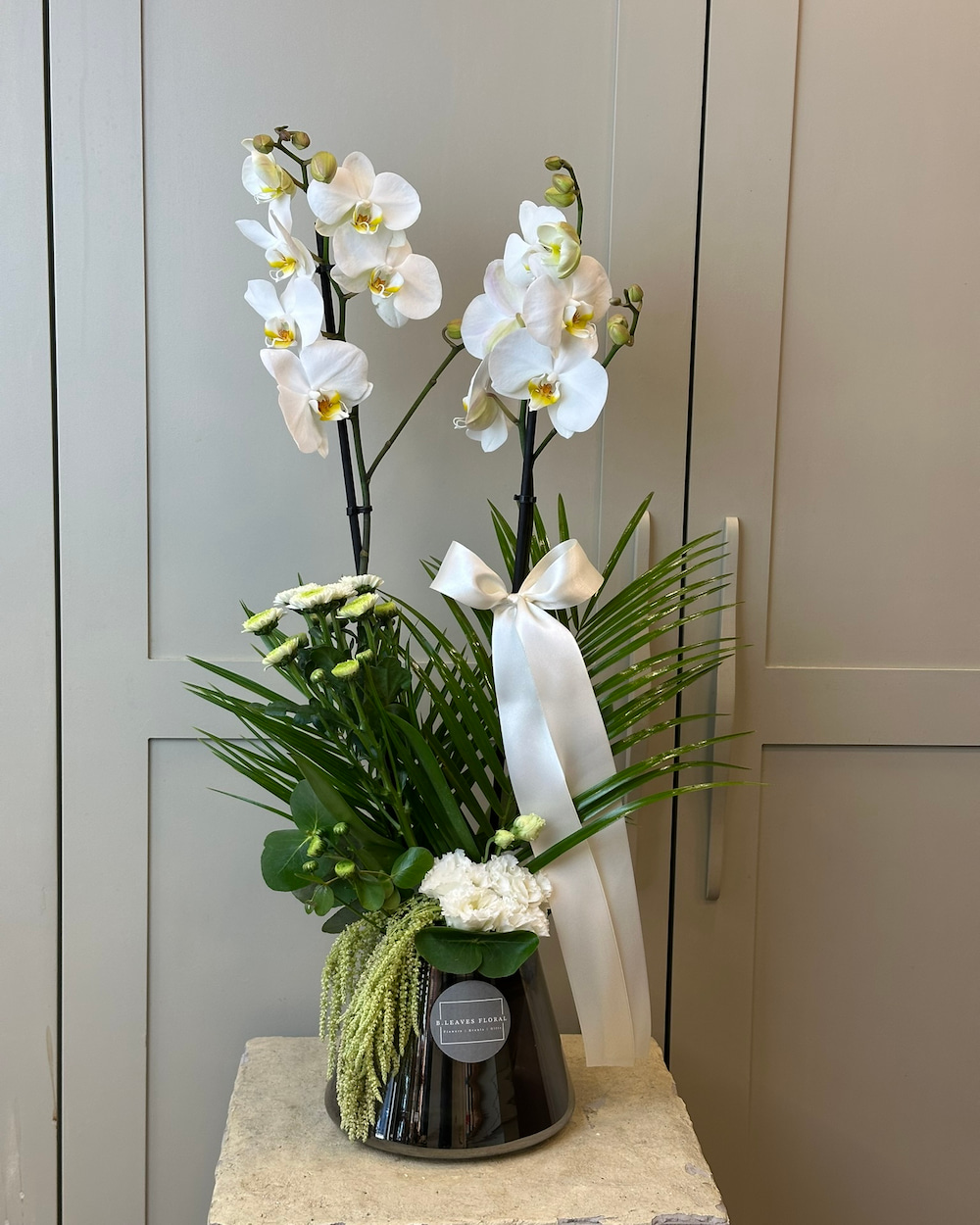 Seva Elegance Orkide