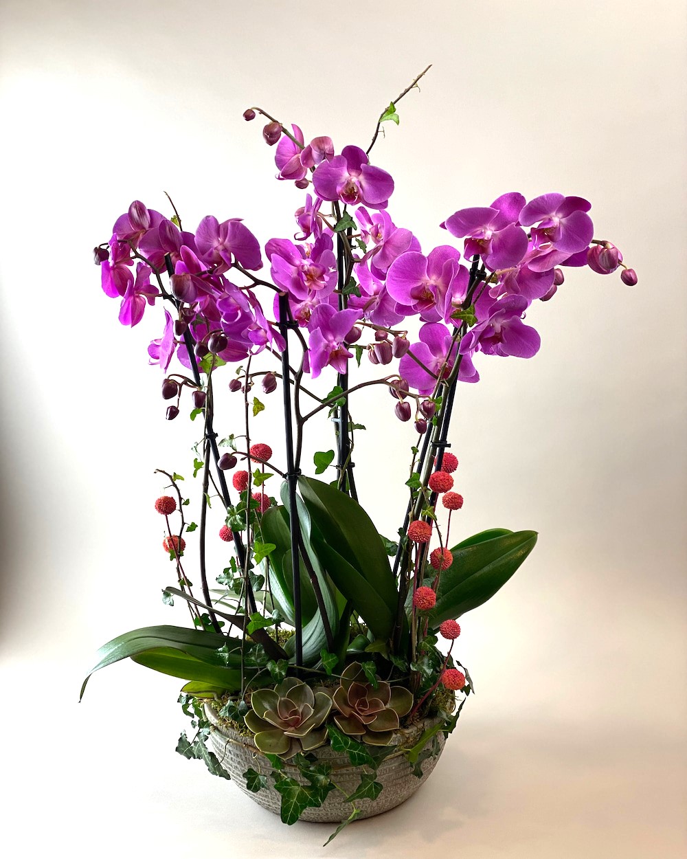 Vazoda 4 Dallı Pembe Orkide