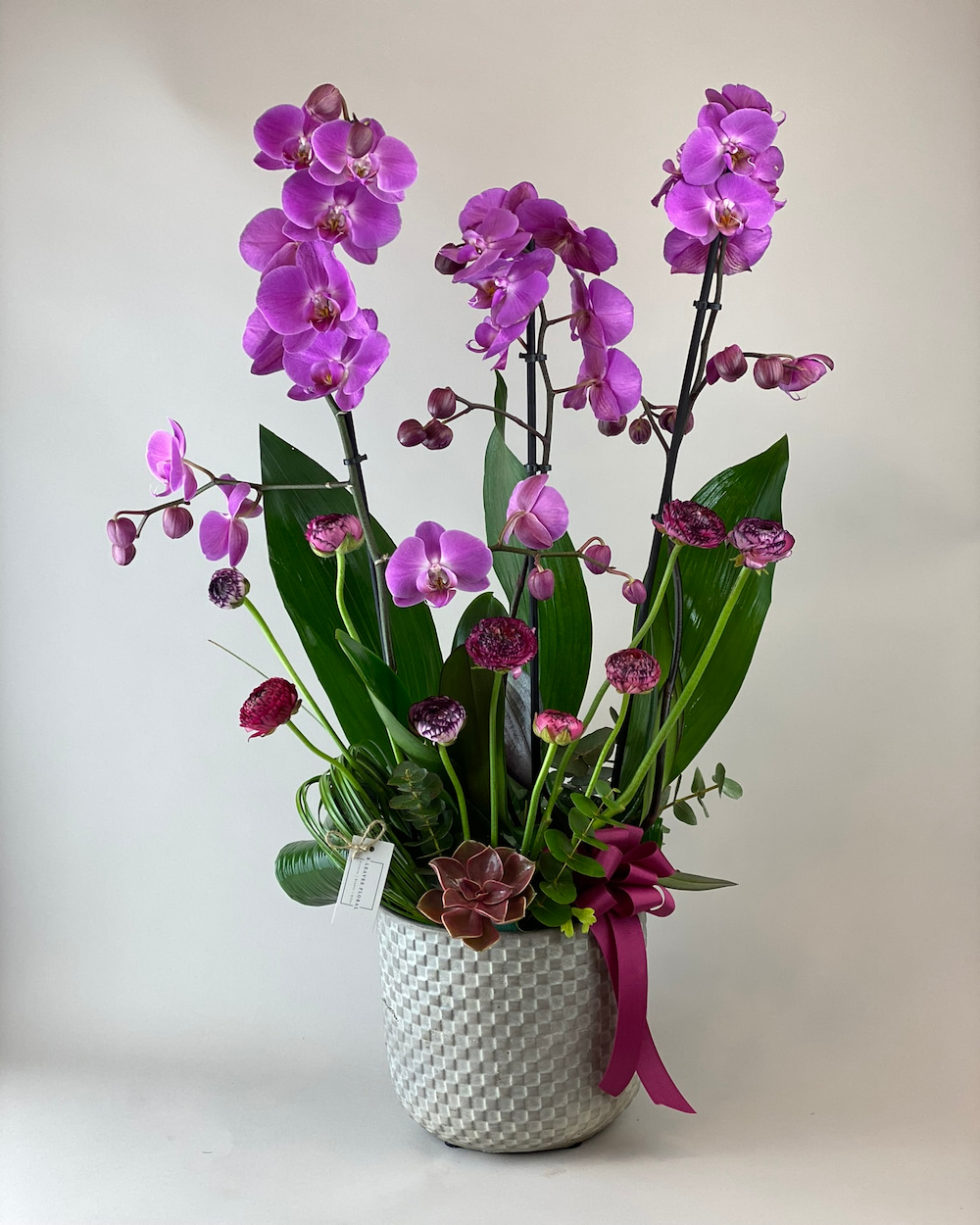 Orkide e itleri Ve Fiyatlar Bleaves Floral Orkide e itleri Ve Fiyatlar Bleaves Floral