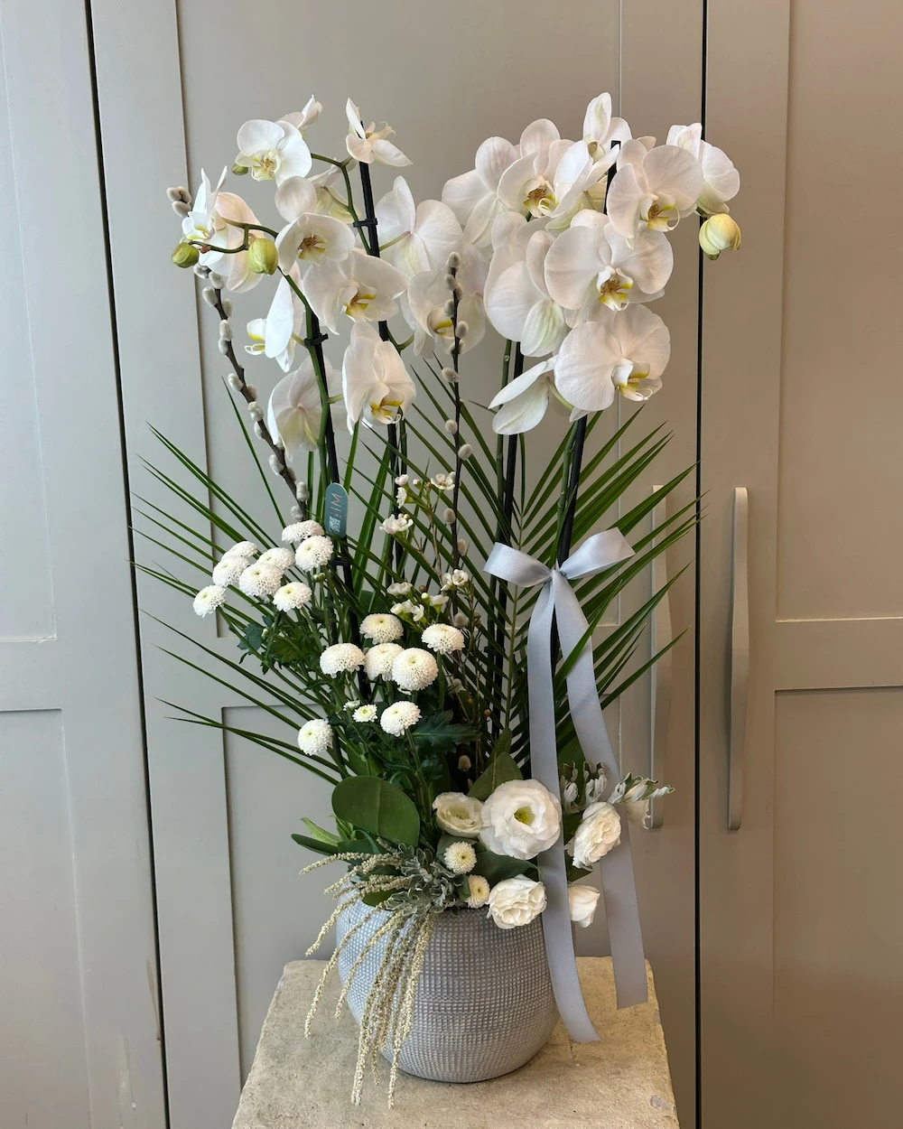 Cisla 4 Dal Beyaz Orkide