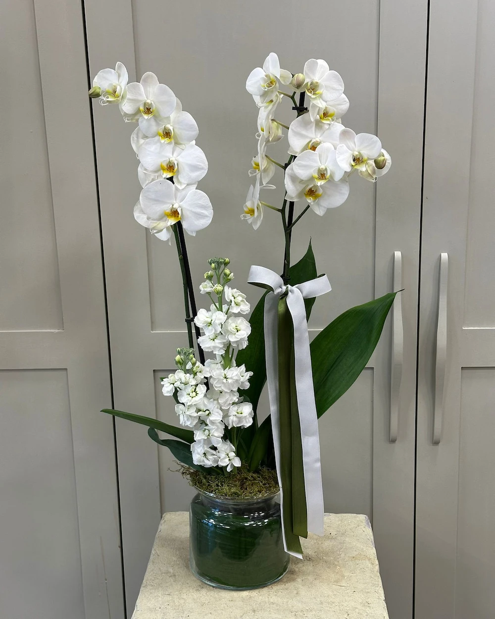 Duero 2 Dal Beyaz Orkide