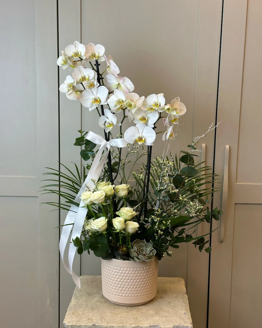 Elvas 2 Dal Beyaz Orkide