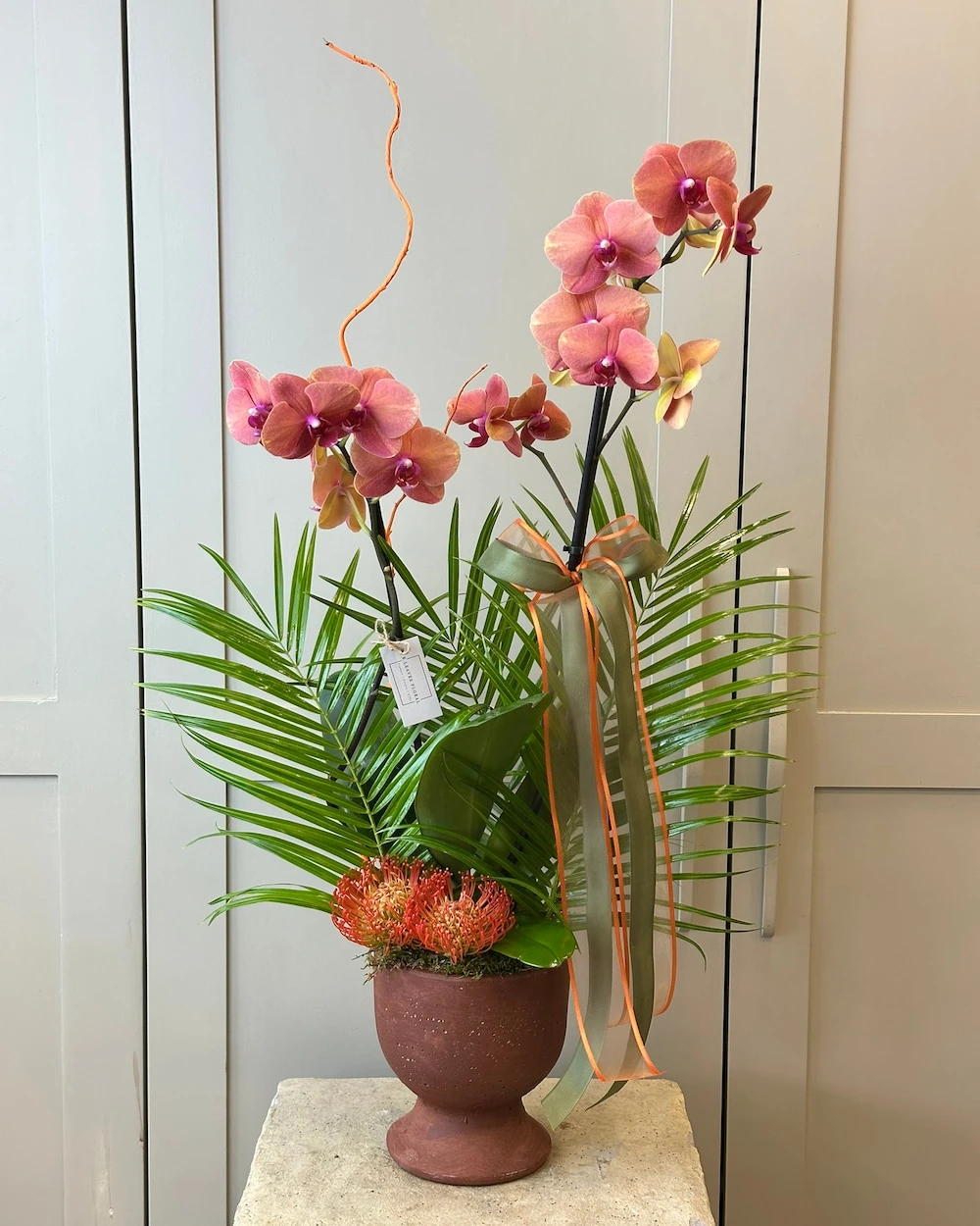 Fores 2 Dal Turuncu Orkide