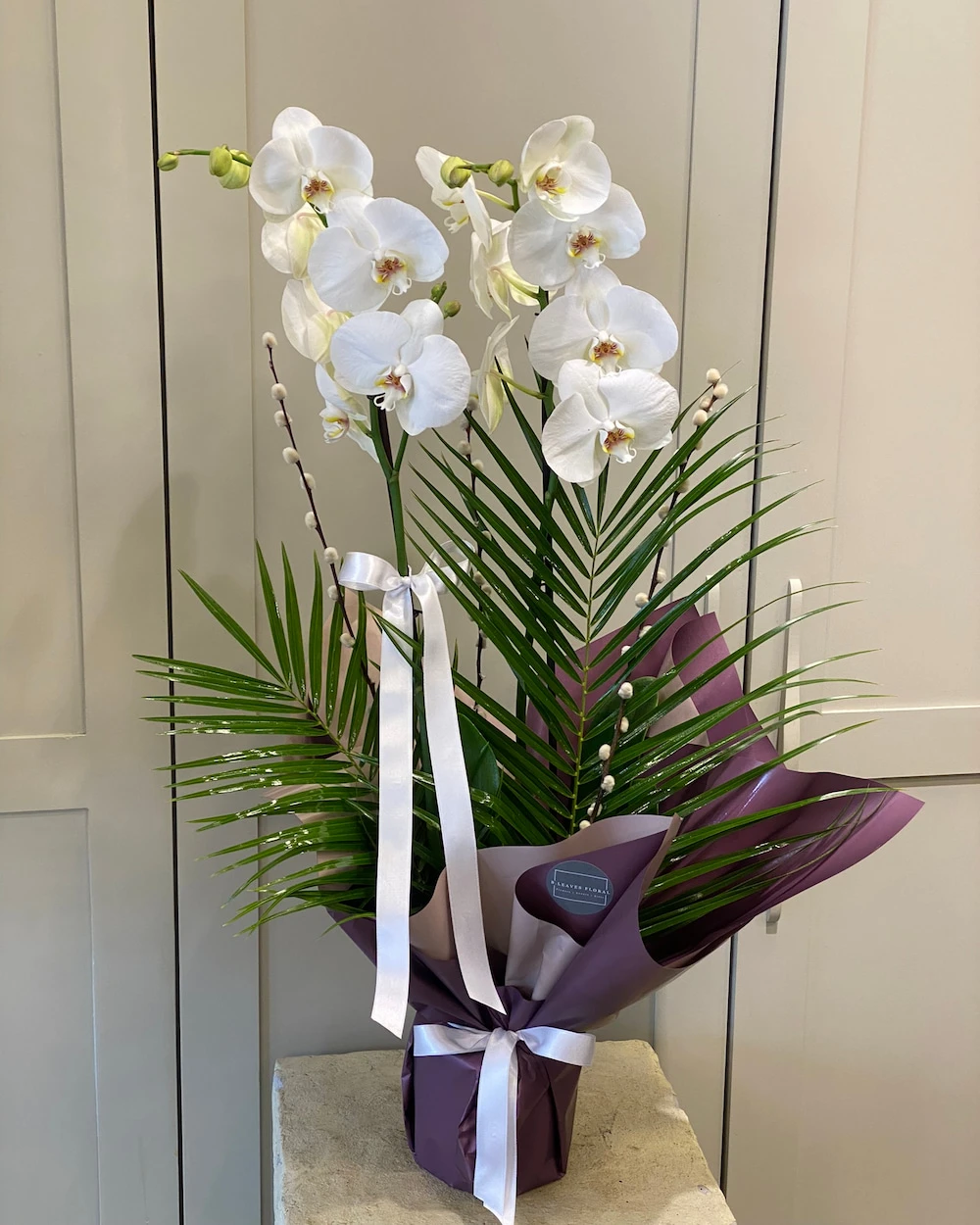 Leida 2 Dal Beyaz Orkide