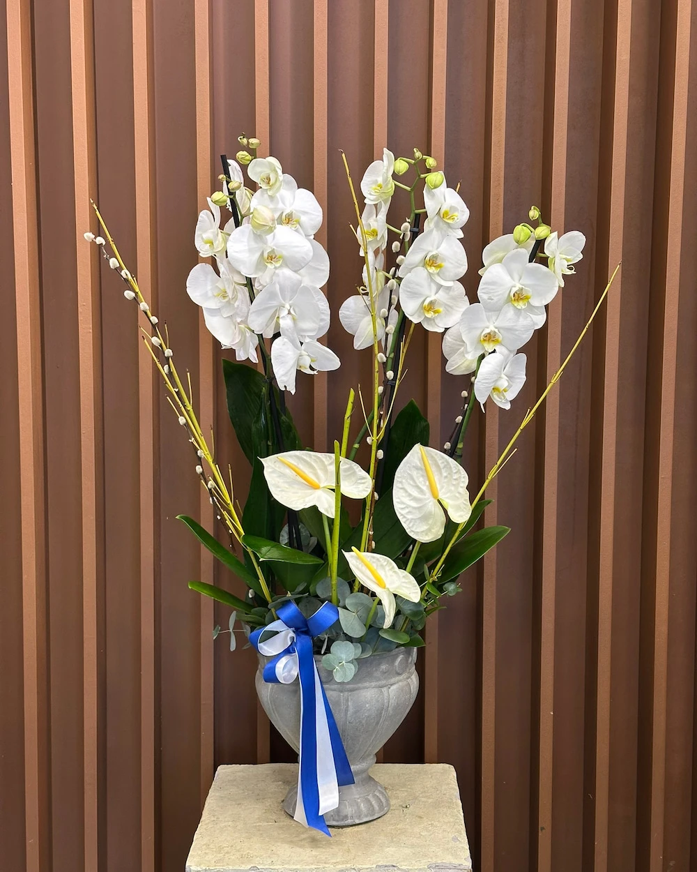 Lorca 4 Dal Beyaz Orkide