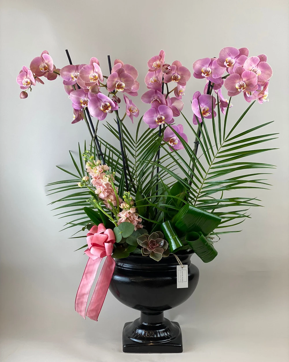 Mallare Sweet Lilac Orkide