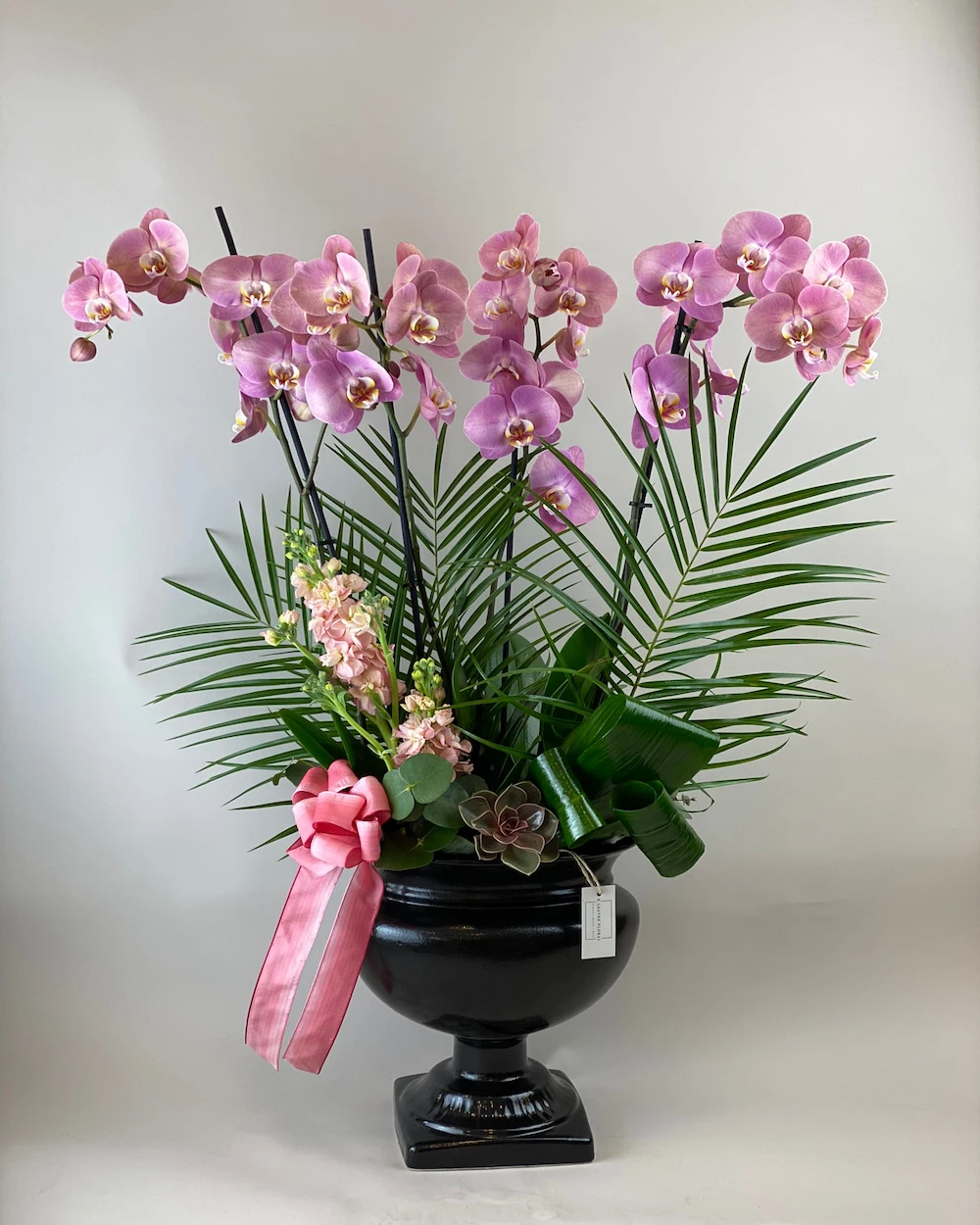 Mallare Sweet Lilac Orkide