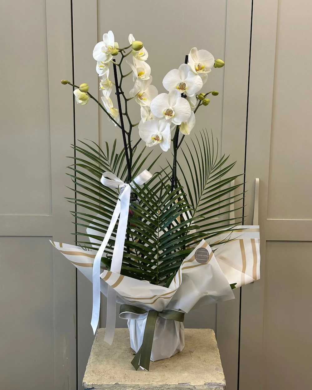 Matilla 2 Dal Beyaz Orkide