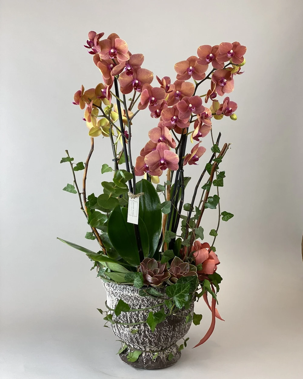 Rebois Elegance Turuncu Orkide