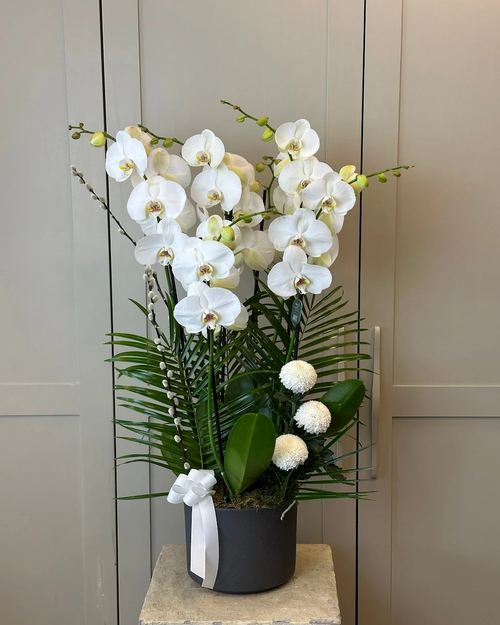 Rello 6 Dal Beyaz Orkide