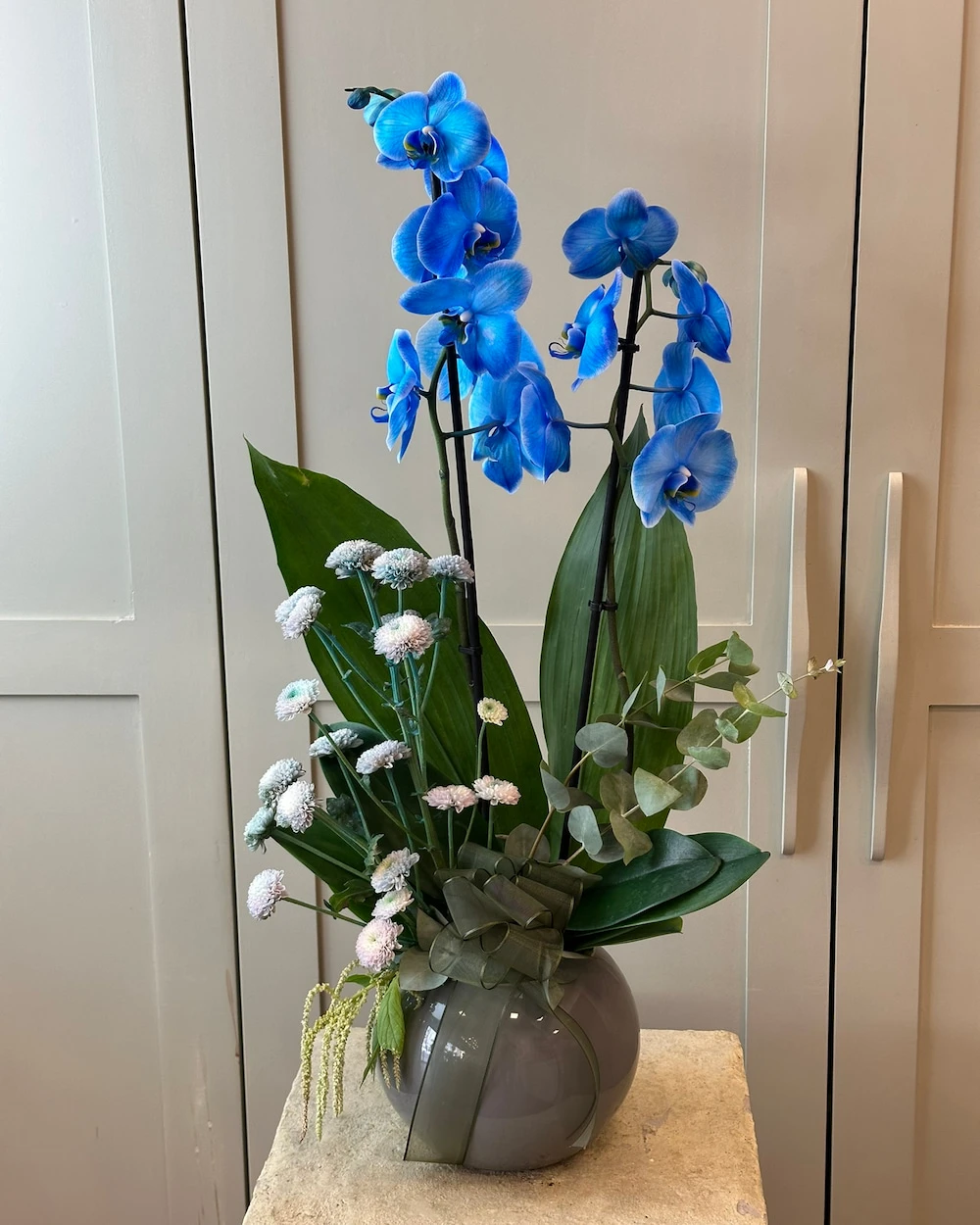 Seros 2 Dal Mavi Orkide