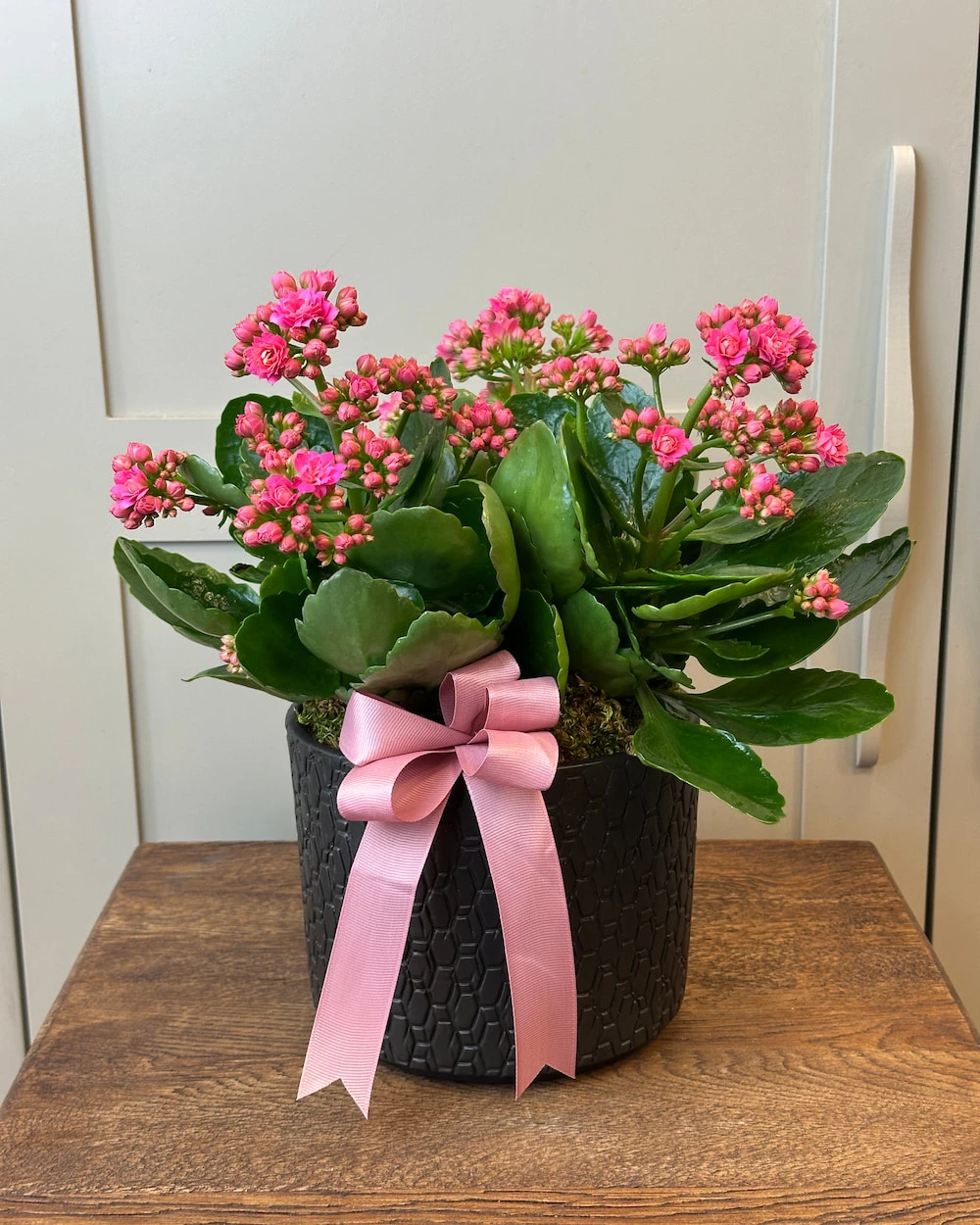 Vazoda 3'lü Pembe Kalanchoe