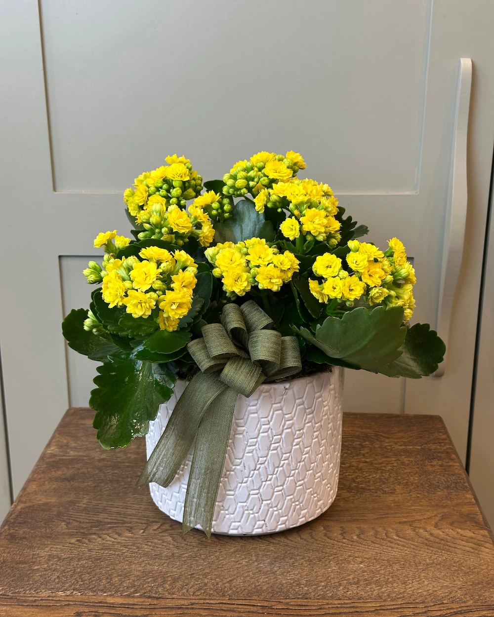 Vazoda 3'lü Sarı Kalanchoe