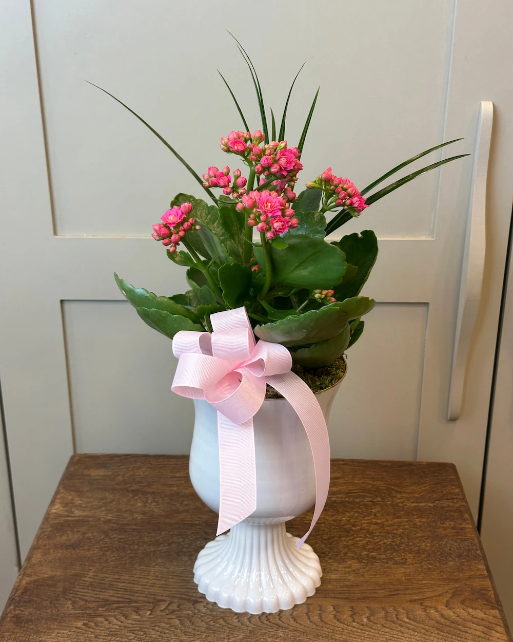 Vazoda Pembe Kalanchoe