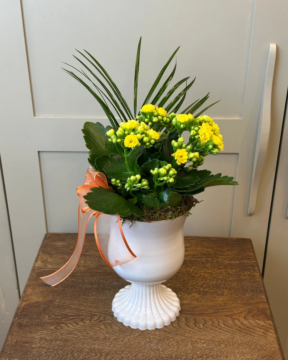 Vazoda Sarı Kalanchoe